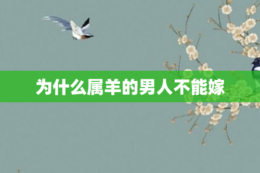 为什么属羊的男人不能嫁