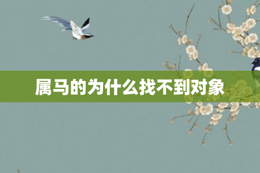 属马的为什么找不到对象