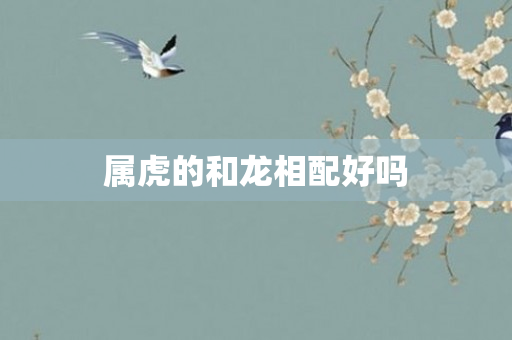 属虎的和龙相配好吗