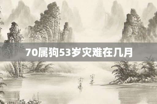 70属狗53岁灾难在几月