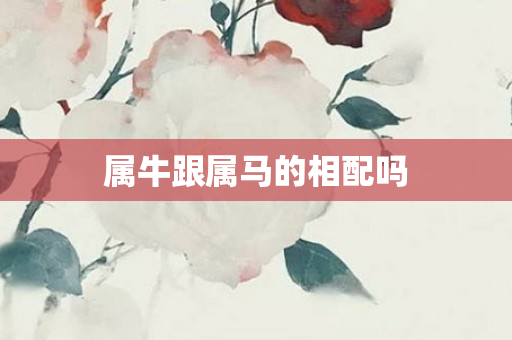 属牛跟属马的相配吗