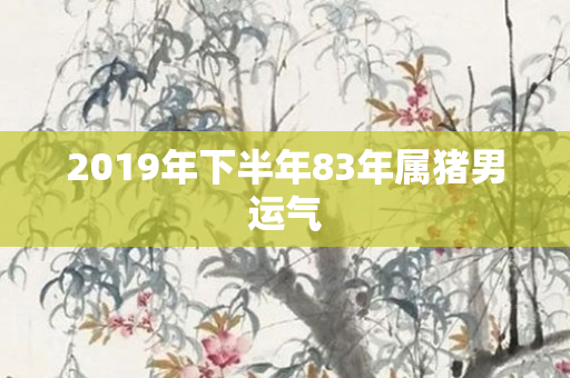 2019年下半年83年属猪男运气