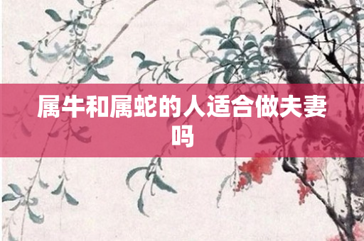属牛和属蛇的人适合做夫妻吗