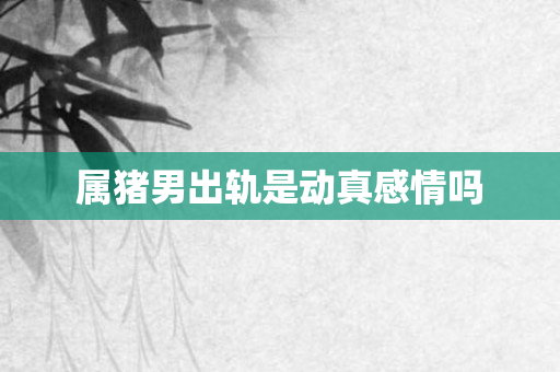 属猪男出轨是动真感情吗