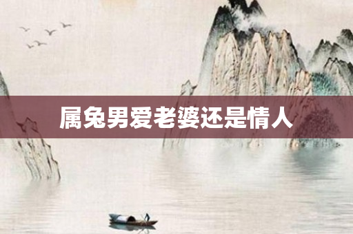 属兔男爱老婆还是情人