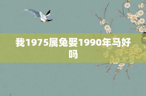 我1975属兔娶1990年马好吗