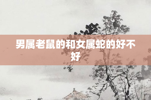 男属老鼠的和女属蛇的好不好