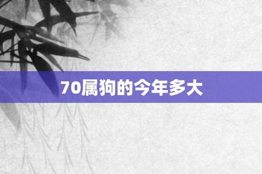 70属狗的今年多大