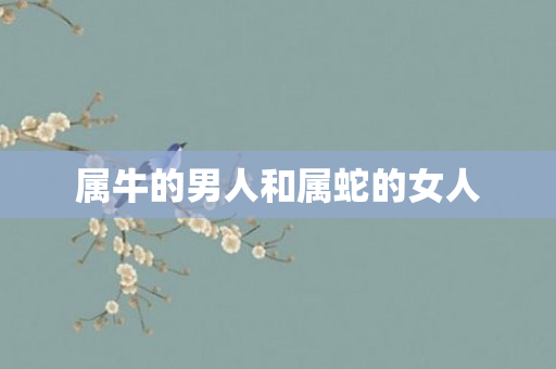 属牛的男人和属蛇的女人