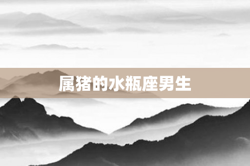 属猪的水瓶座男生