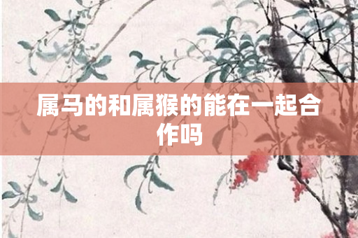 属马的和属猴的能在一起合作吗