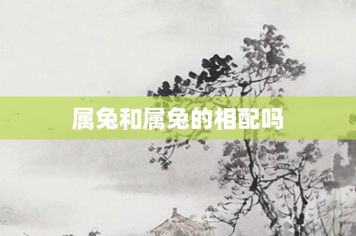 属兔和属兔的相配吗