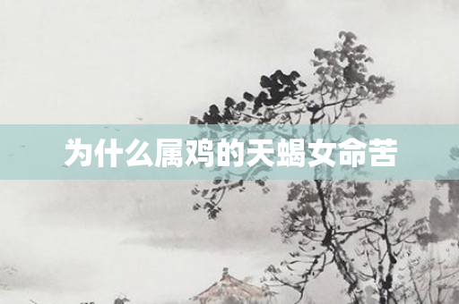 为什么属鸡的天蝎女命苦