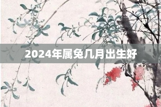 2024年属兔几月出生好