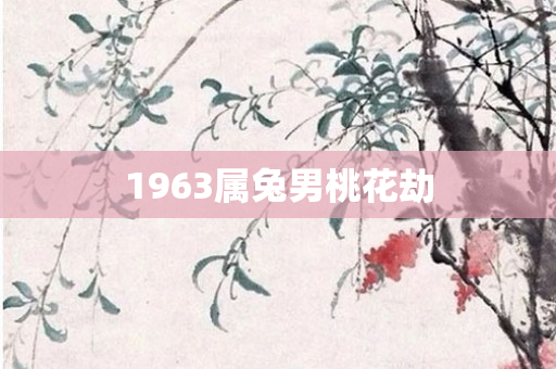 1963属兔男桃花劫