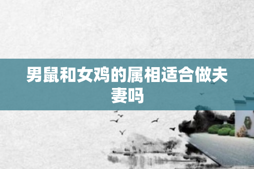 男鼠和女鸡的属相适合做夫妻吗