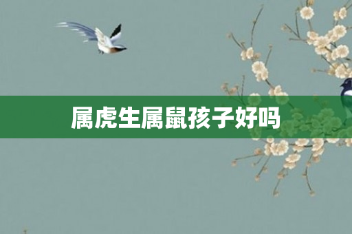 属虎生属鼠孩子好吗