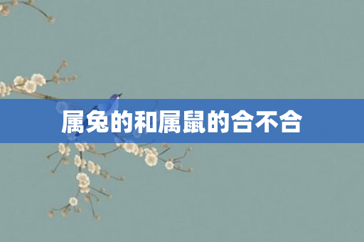 属兔的和属鼠的合不合
