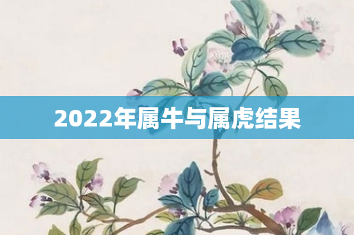 2022年属牛与属虎结果