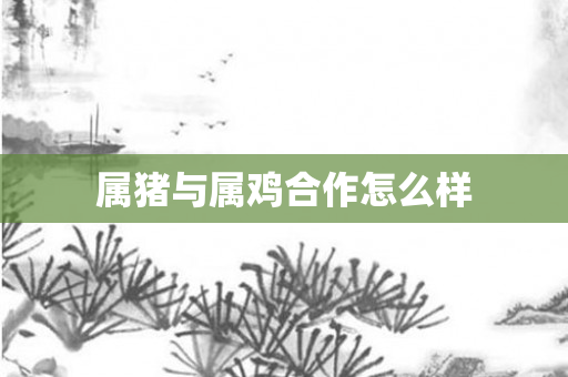 属猪与属鸡合作怎么样
