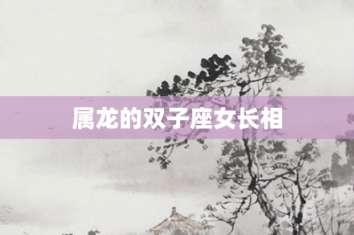 属龙的双子座女长相