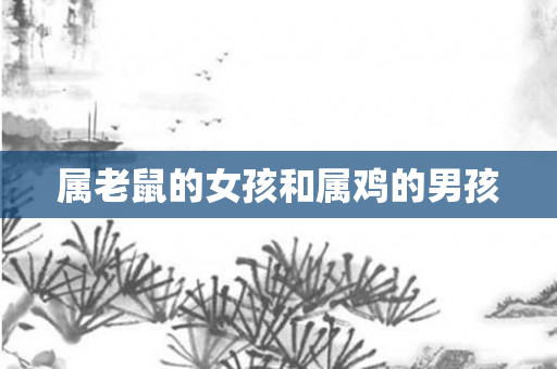 属老鼠的女孩和属鸡的男孩