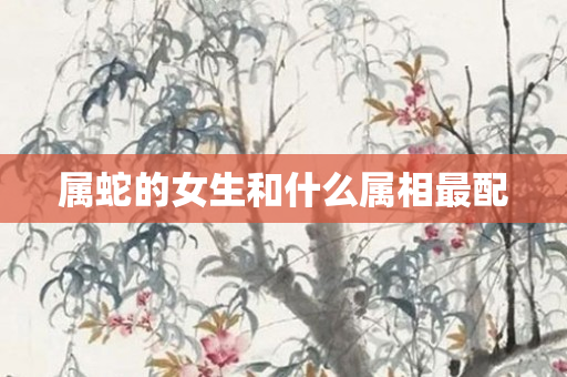 属蛇的女生和什么属相最配