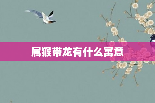 属猴带龙有什么寓意