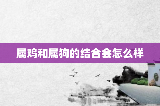 属鸡和属狗的结合会怎么样