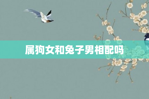 属狗女和兔子男相配吗