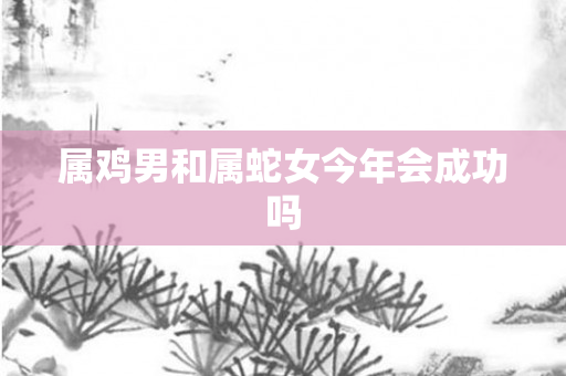 属鸡男和属蛇女今年会成功吗