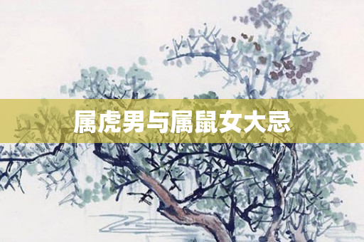 属虎男与属鼠女大忌