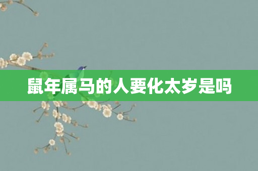 鼠年属马的人要化太岁是吗