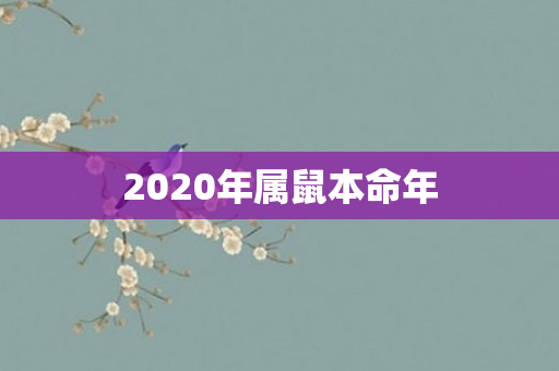 2020年属鼠本命年