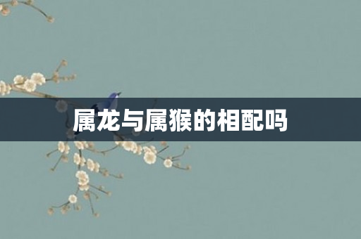 属龙与属猴的相配吗