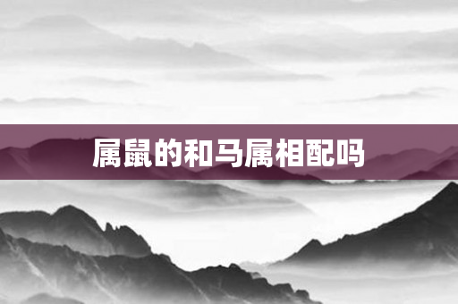 属鼠的和马属相配吗