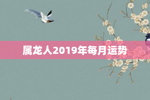 属龙人2019年每月运势