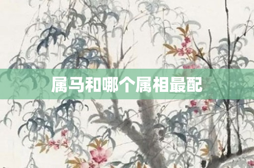 属马和哪个属相最配