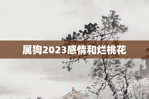 属狗2023感情和烂桃花