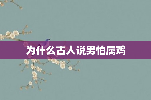 为什么古人说男怕属鸡