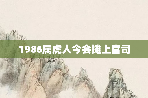 1986属虎人今会摊上官司
