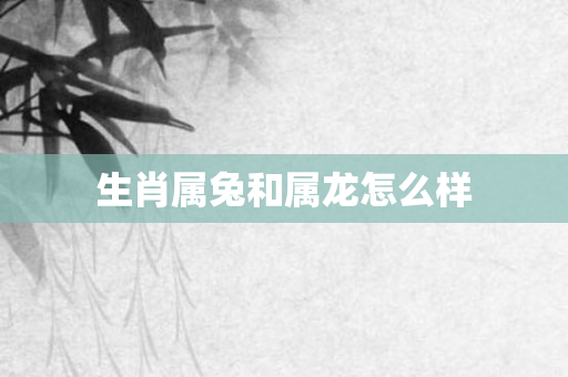 生肖属兔和属龙怎么样
