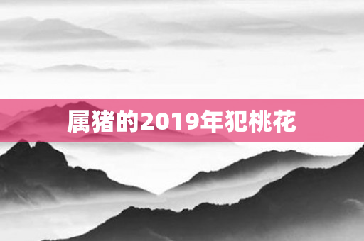 属猪的2019年犯桃花