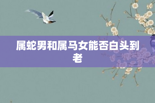属蛇男和属马女能否白头到老