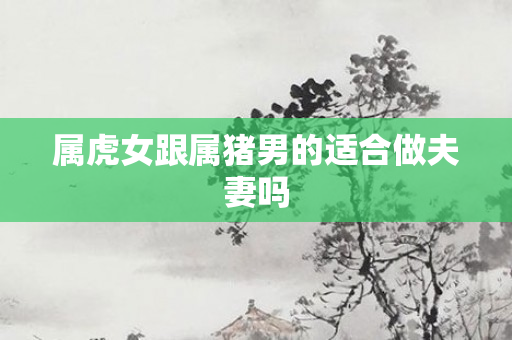 属虎女跟属猪男的适合做夫妻吗