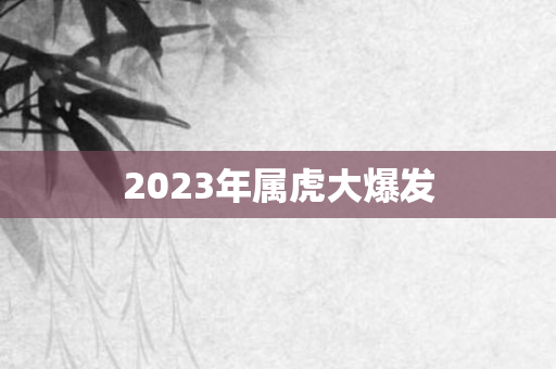 2023年属虎大爆发