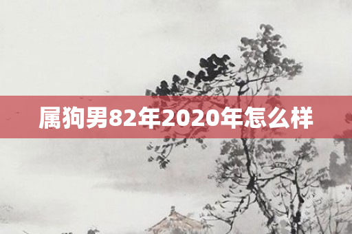 属狗男82年2020年怎么样