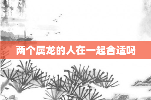 两个属龙的人在一起合适吗