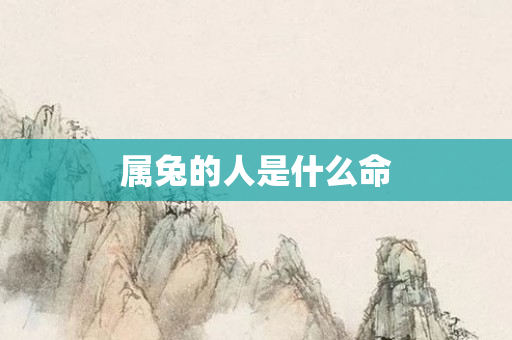 属兔的人是什么命