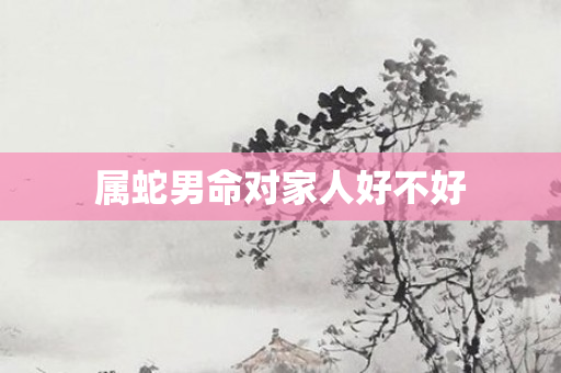 属蛇男命对家人好不好